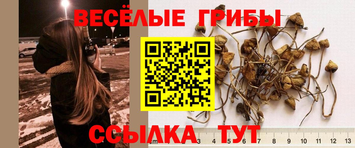 Псилоцибиновые грибы MAGIC MUSHROOMS  Псилоцибиновые грибы ЛСД  Вход с VPN  Саяногорск 
